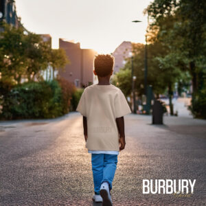 BURBURY ARENA 01